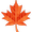 Maple leaf