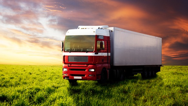 Freight truck in the field of green grass
