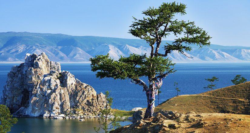 Tree of desires on Lake Baikal