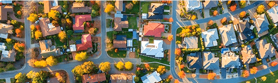 Houses in a residential area