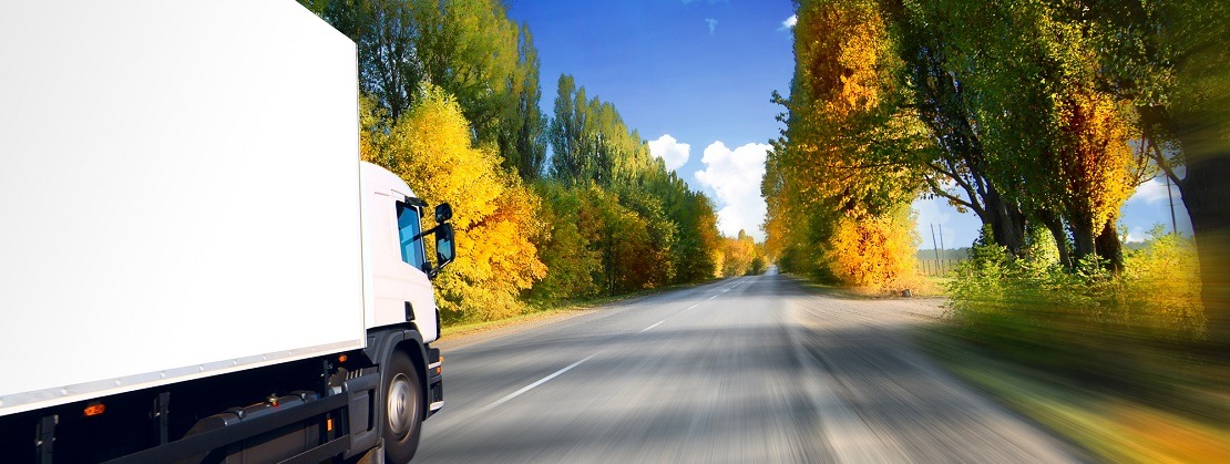 Freight truck on the road