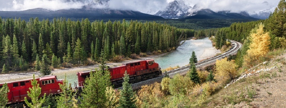 A freight train moving through nature