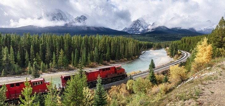 A freight train moving through nature