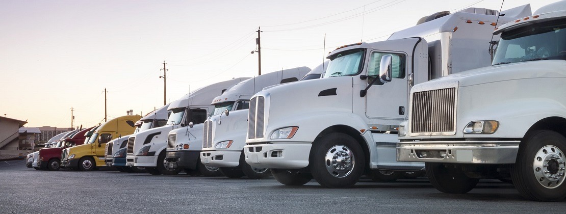 Freight trucks lined up one next to another