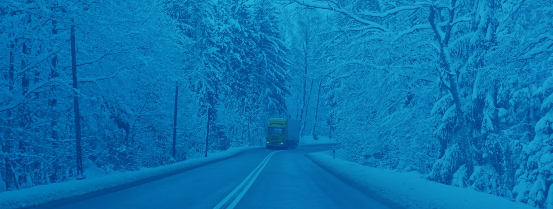 A freight truck moving by road through snowy woods