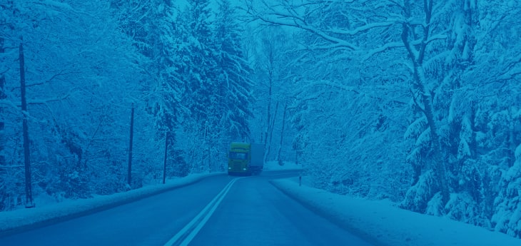 A freight truck moving by road through snowy woods