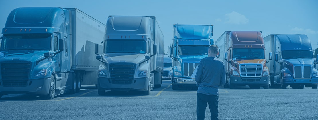 A driver looking at lined up freight trucks