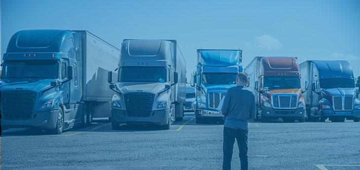 A driver looking at lined up freight trucks